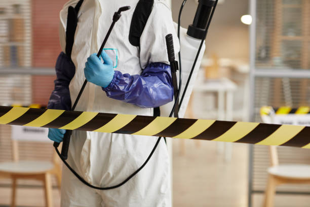 Professional Sewage Cleanup technician working in Petaluma, CA
