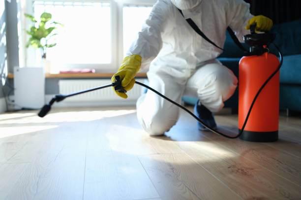 Reliable Sewage Cleanup contractor in Petaluma, CA by Dulley Family Biohazard Services